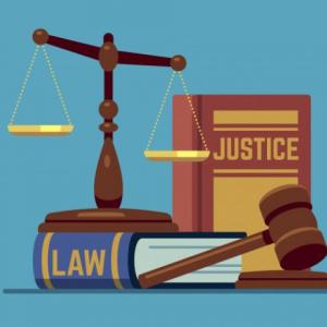 Ramas del Derecho