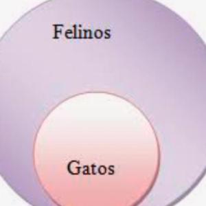 Técnica de análisis