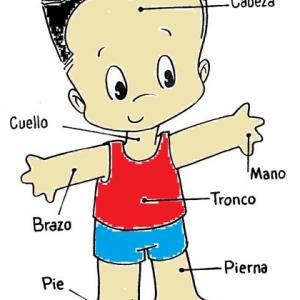 Mi Cuerpo
