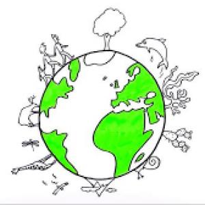 NIVELES DE BIODIVERSIDAD