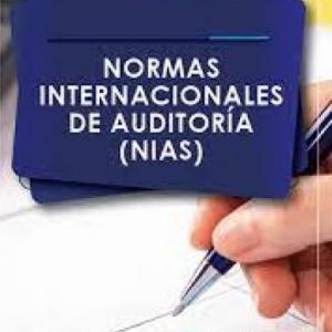 NORMAS INTERNACIONALES DE AUDITORÍA