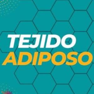 Tejido Adiposo