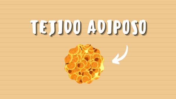 Tejido adiposo