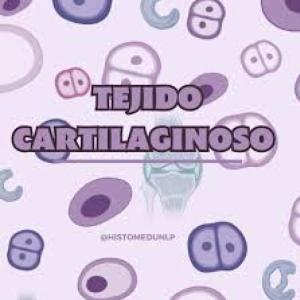 Trivia Tejido Cartilaginoso