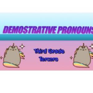 Demonstrative Adjectives :)