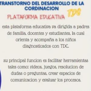 JUEGO TDC