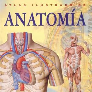 jugando con la anatomia