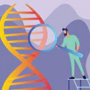 ¿Qué sabes de genética?