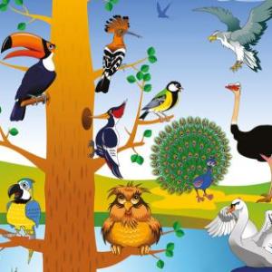 La reproducción en animales