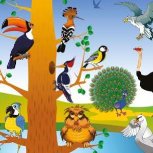 La reproducción en animales