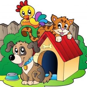 ANIMALES DOMÉSTICOS