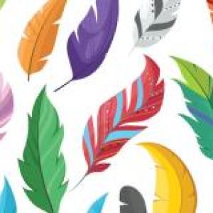 Correspondencia de características fisicas