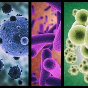 MICROBIOLOGÍA: NUTRICION