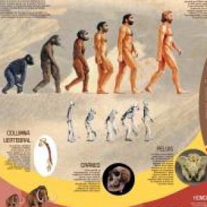Historia de la humanidad