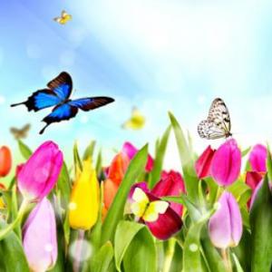 ¡BIENVENIDA PRIMAVERA!
