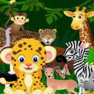 ANIMALES SALVAJES