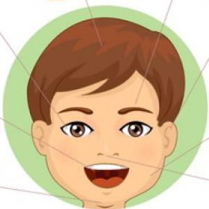 juego partes de mi cara