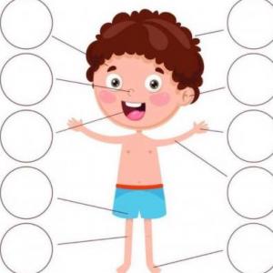 Partes del cuerpo y me visto