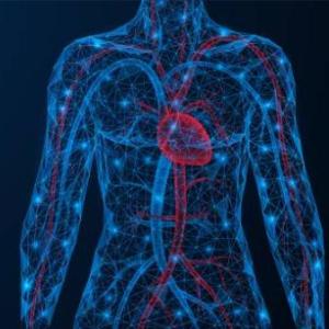 Fisiotriad