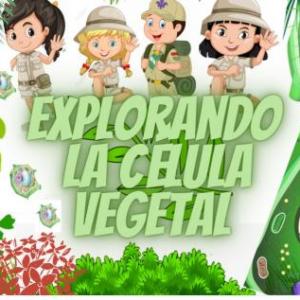 EXPLORANDO LA CÉLULA VEGETAL.