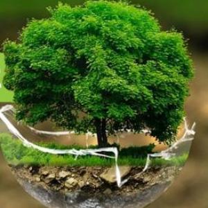 La naturaleza 