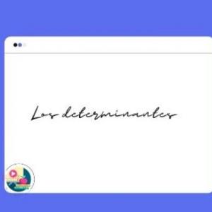 Los determinantes