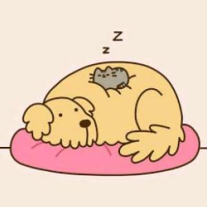 Pets