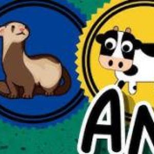 Animales domésticos