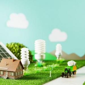 Cuidado del medio ambiente
