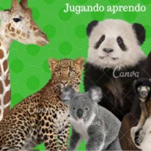 ANIMALES