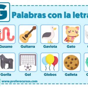 Palabras con la letra Gg