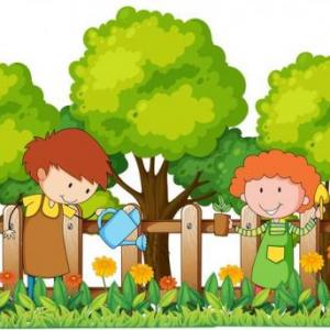 Las plantas, sus partes y variedad