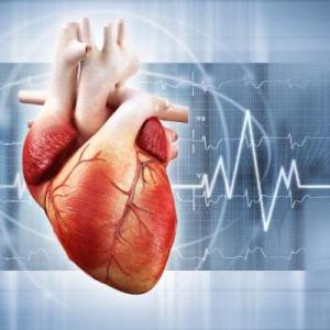 Retroalimentación lectura Los latidos del corazón