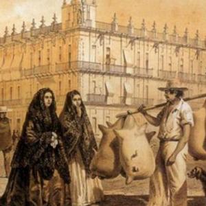 La colonia