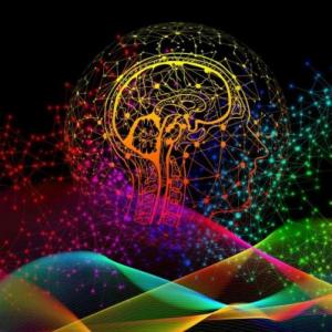 Aportes de la neuropsicología