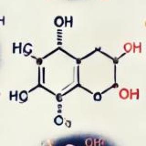 Portada del juego BIOSÍNTESIS DE AMINOÁCIDOS VERDADERO O FALSO – Química