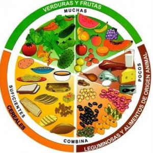 Elementos del plato del buen comer 