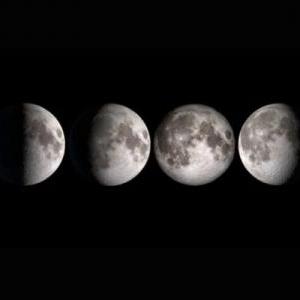 Fases de la luna 