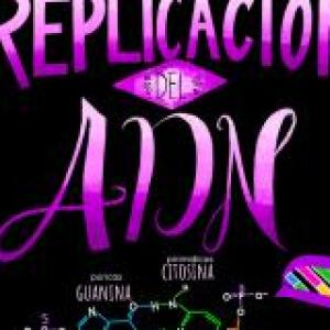 ADN
