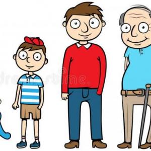 Human stages