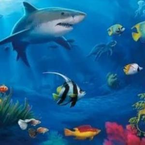 Animales