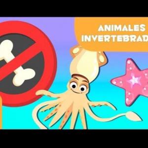 ANIMALES INVERTEBRADOS