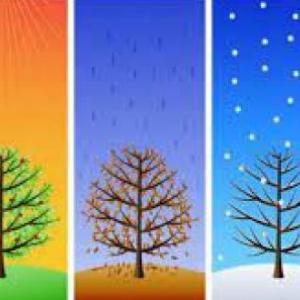 Seasons