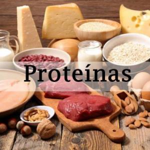 PROTEÍNAS-AHORCADO