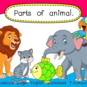 Nature Park Animals