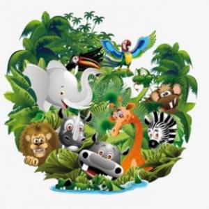 Animals and their abilities