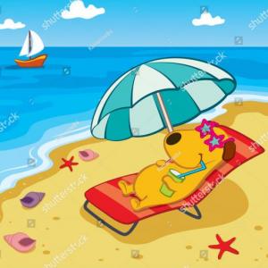 At the beach