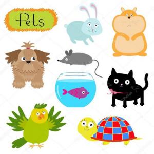 Perfect Pets!