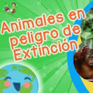¿Qué puedes hacer para protegerlo?