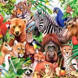 El mundo de animales